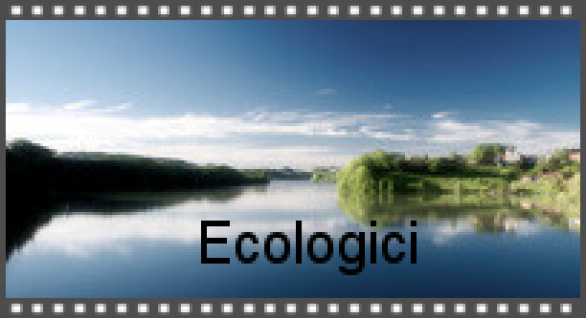 Lieti di contribuire a difendere e migliorare l’ambiente (è in corso la certificazione ISO 14001) E’ in corso la certificazione ISO 14001 al fine di ufficializzare il nostro impegno ecologico e ambien